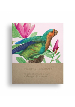 Plants and animals