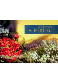 Uroki powiatu Mińskiego