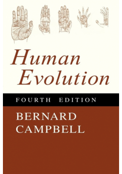 Human Evolution