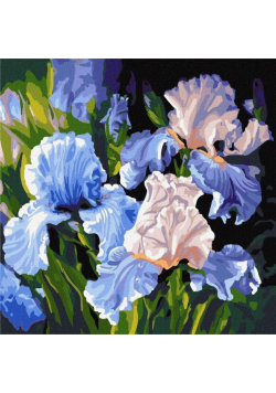 Malowanie po numerach - Jasne tęczówki 40x40cm