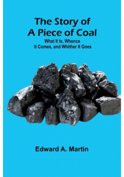 The Story of a Piece of Coal
