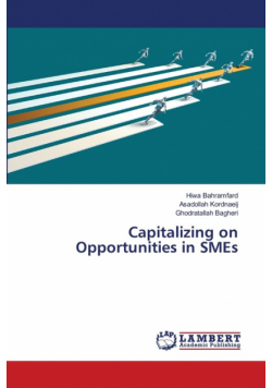 Capitalizing on Opportunities in SMEs