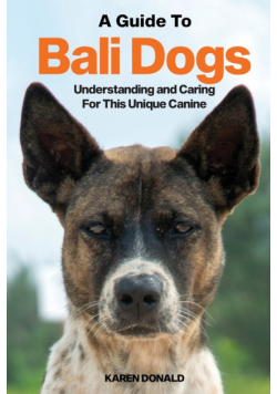 A Guide to Bali Dogs