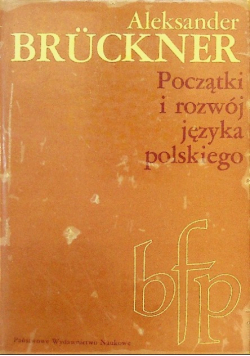 Początki i rozwój języka polskiego