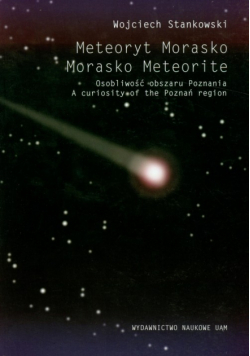 Meteoryt morasko osobliwość obszaru Poznania