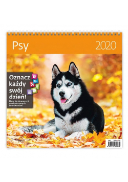 Kalendarz 2020 30x30cm Psy HELMA