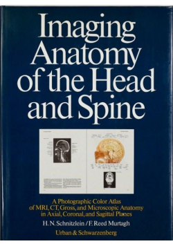 Imaging anatomy of the head and spine