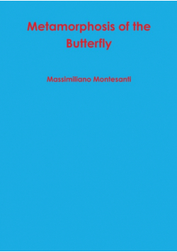 Metamorphosis of the Butterfly