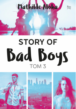 Story of Bad Boys 3