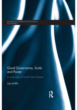 Good Governance, Scale and Power