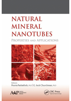 Natural Mineral Nanotubes