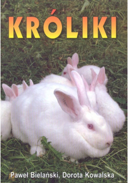 Króliki