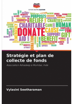 Stratégie et plan de collecte de fonds
