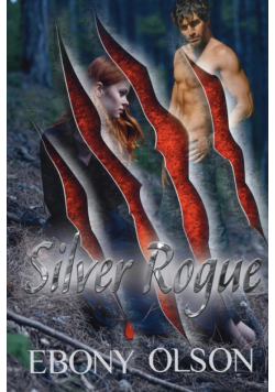 Silver Rogue