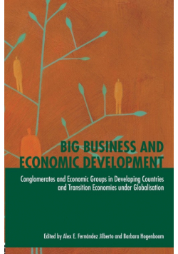 Big Business and Economic Development