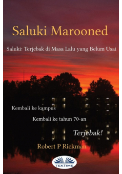 Saluki Marooned - Saluki