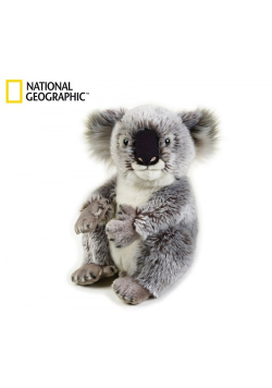 Pluszak Koala Australijski National Geographic