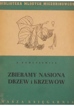 Zbieramy nasiona drzew i krzewów