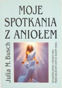 Moje spotkania z Aniołem