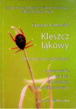 Kleszcz Łąkowy Dermacentor Reticulatus