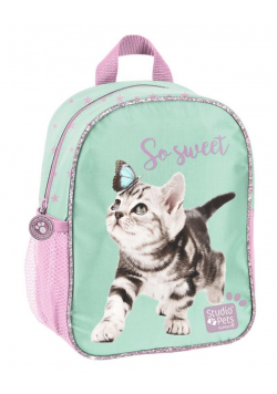 Plecak przedszkolny Studio Pets PTN-303 PASO