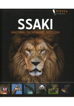 Ssaki Anatomia, Zachowanie,  Siedliska