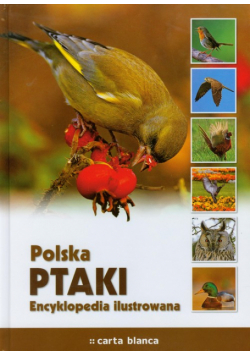 Polska Ptaki Encyklopedia ilustrowana