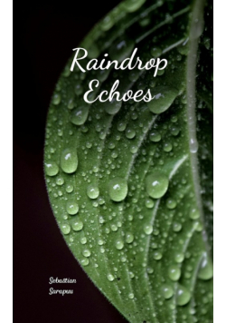 Raindrop Echoes