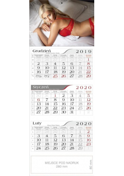 Kalendarz 2020 Trójdzielny Monika CRUX