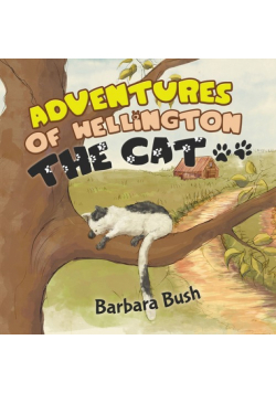 Adventures of Wellington the Cat