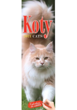 Kalendarz 2021 KP-2 Koty AVANTI