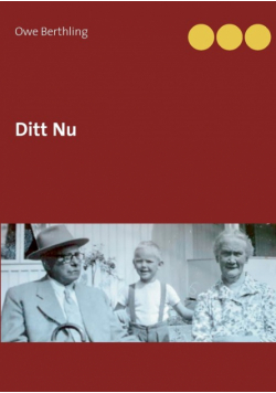 Ditt Nu