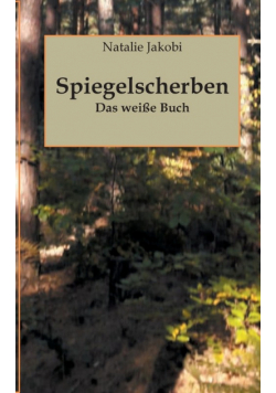 Spiegelscherben