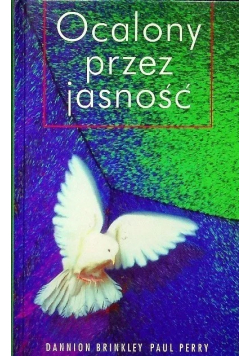 Ocalony przez jasność