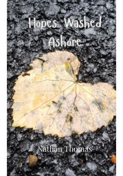 Hopes Washed Ashore