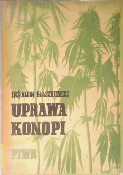 Uprawa konopi 1950 r.