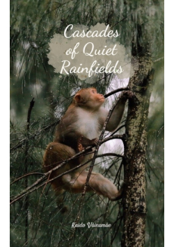 Cascades of Quiet Rainfields