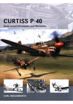 Curtiss P-40