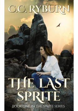 The Last Sprite