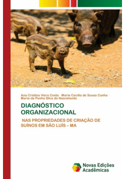 Diagnóstico Organizacional