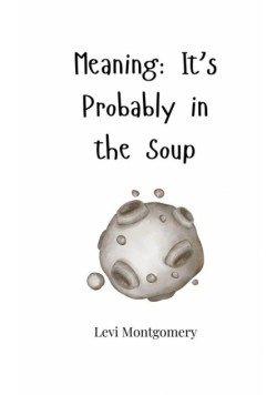 Meaning