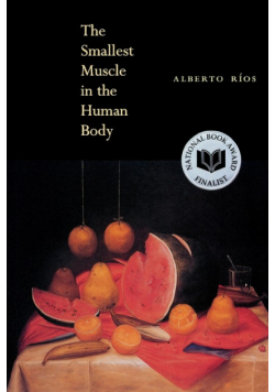 The Smallest Muscle in the Human Body