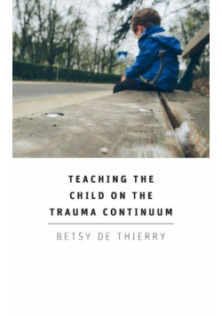 Teaching The Child On The Trauma Continuum