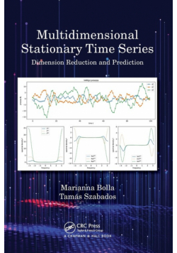 Multidimensional Stationary Time Series
