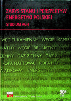 Zarys stanu i perspektyw energetyki Polskiej