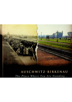 Auschwitz Birkenau The Place Where You Are Standing
