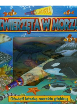 Zwierzęta w morzu Latarka