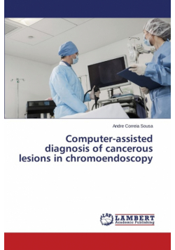 Computer-Assisted Diagnosis of Cancerous Lesions in Chromoendoscopy