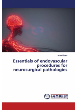 Essentials of endovascular procedures for neurosurgical pathologies