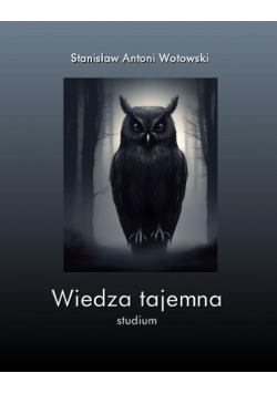 Stanisław Antoni Wotowski